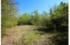 <B>Located within the City Limits of Okmulgee and adjacent to the Oklahoma State University Institute of Technology</b>, this property offers a lot of potential for investors. With 153.73 acres available, there is an investment opportunity for this property! The property has frontage on the north along E 4th Street and US Highway 62 on the southern boundary, along the east and west sides are numerous access points provided by city streets. Multiple ponds are present on the property, which could make very attractive water features. Mature timber, open grassy areas and dense foliage make up the balance of the property, creating an opportunity for a very private setting within city limits. - 153 Total Acres in Okmulgee, Oklahoma